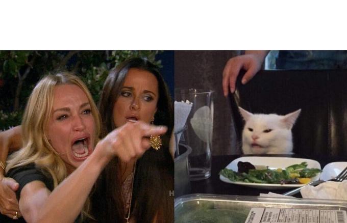 Mulher Gritando com Gato